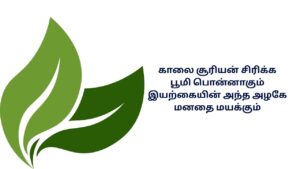 Beauty Of Nature Kavithai In Tamil