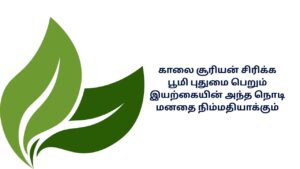 Iyarkai Nature Kavithai In Tamil