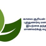 300+ Best Nature Kavithai In Tamil | இயற்கை கவிதை தமிழில்